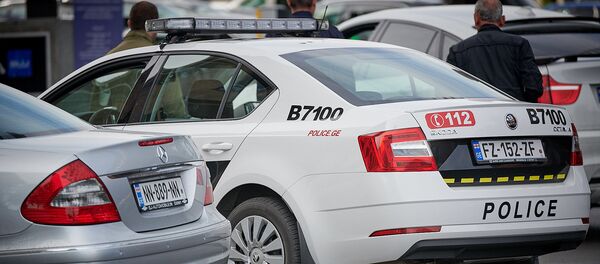 საპატრულო პოლიცია საპატრულო პოლიცია - Sputnik საქართველო