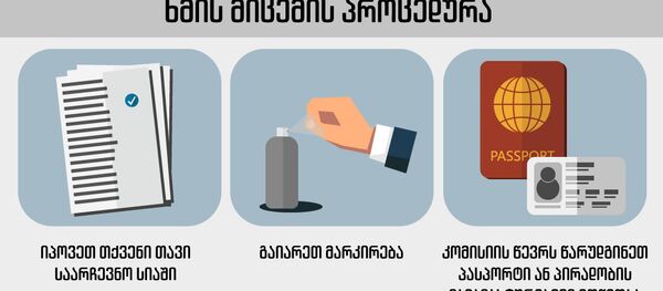 საპრეზიდენტო არჩევნებზე კენჭისყრაში მონაწილეობის პროცედურა - Sputnik საქართველო