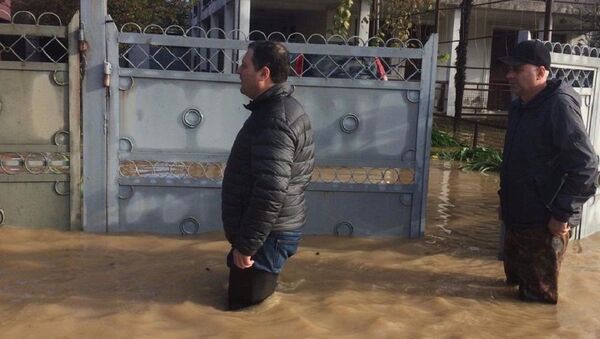 Наводнение в Кобулети - Sputnik Грузия