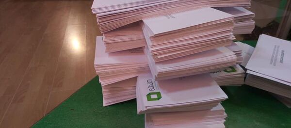 Выборы президента Грузии 2018  - Sputnik Грузия