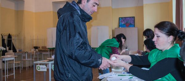 Выборы президента Грузии 2018 - Sputnik Грузия