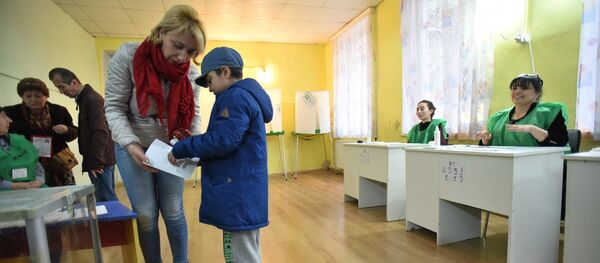 Выборы президента Грузии 2018 - Sputnik Грузия