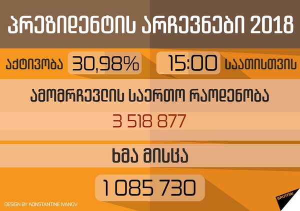 ცესკო: ამომრჩეველთა აქტივობა 15:00 საათისთვის დაახლოებით 31%-ია - Sputnik საქართველო