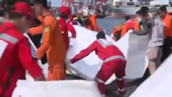 В Индонезии разбился пассажирский авиалайнер: кадры с места катастрофы - Sputnik Грузия