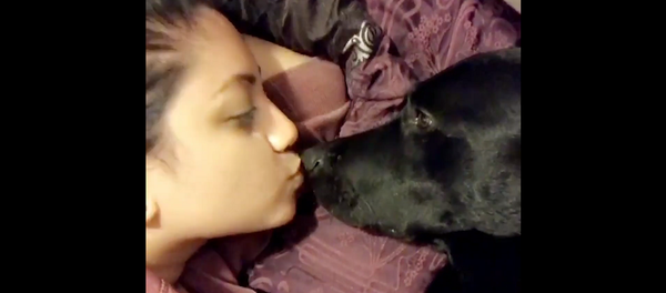 Любовь, как она есть – милейшее видео о чувствах животных - Sputnik Грузия