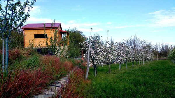 შვეიცარიის ციხეში ჩაფიქრებული და ოკამში ნაფერები ბაღი სახელად „ევა - Sputnik საქართველო