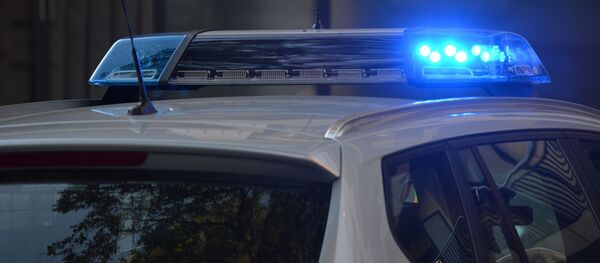 Полиция США. Архивное фото - Sputnik Грузия