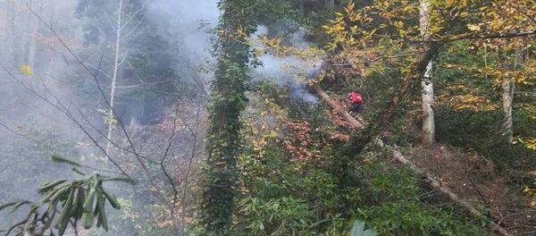 ტყის ხანძარი ბაღდათის რაიონში ტყის ხანძარი ბაღდათის რაიონში - Sputnik საქართველო