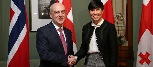 Главы МИД Грузии и Норвегии Давид Залкалиани и Ида Эриксен Серейде - Sputnik Грузия