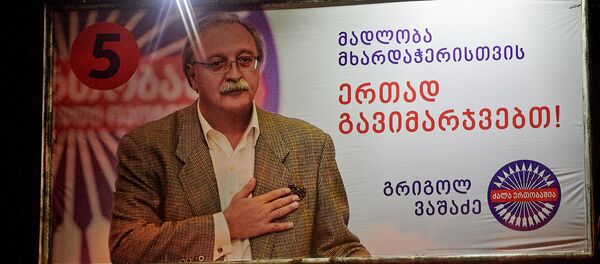 Предвыборный баннер Григола Вашадзе - Sputnik Грузия