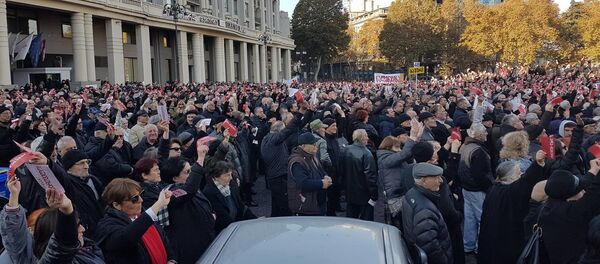 Акция протеста против нацдвижения на Площади Свободы Акция протеста против нацдвижения на Площади Свободы - Sputnik Грузия