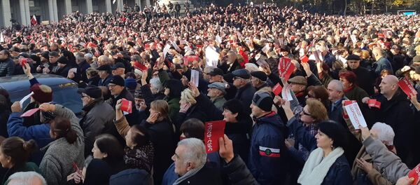 საპროტესტო აქცია - Sputnik საქართველო