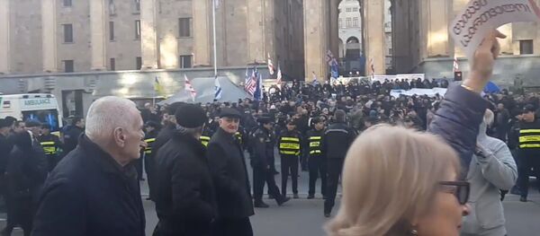 ზაზა სარალიძის აქცია პარლამენტთან  - Sputnik საქართველო