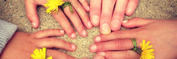 მშობლებისა და შვილების ხელები - Sputnik საქართველო