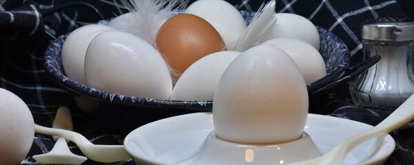 კვერცხი კვერცხი - Sputnik საქართველო