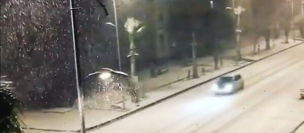 ფოთში ღამით მოთოვა - საქართველოში ზამთარი მოვიდა - Sputnik საქართველო