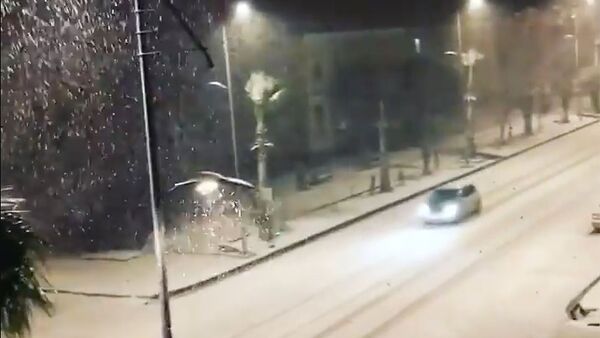 ფოთში ღამით მოთოვა - საქართველოში ზამთარი მოვიდა - Sputnik საქართველო