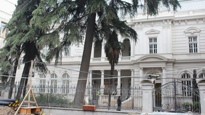 Добраться до ограды особняка не так просто