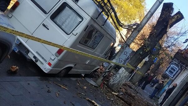 Дерево упало на машины в Тбилиси - видео очевидца - Sputnik Грузия
