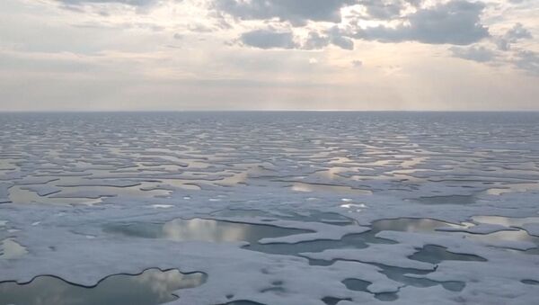 Льды Антарктиды стремительно тают - Sputnik Грузия