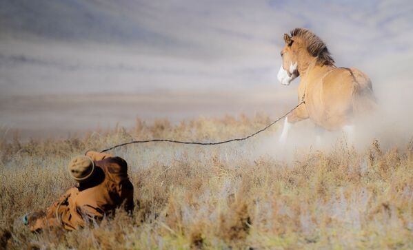 Монгольский пастух с конем - Sputnik Грузия