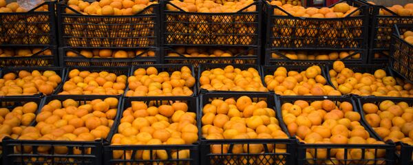 მანდარინი - Sputnik საქართველო