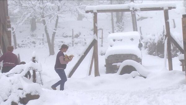 Высокогорную Аджарию засыпало снегом - видео - Sputnik Грузия