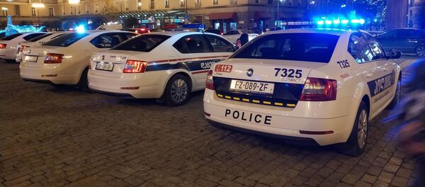 საპატრულო პოლიცია - Sputnik საქართველო