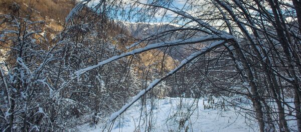 ზამთარი ფშავში ზამთარი ფშავში - Sputnik საქართველო