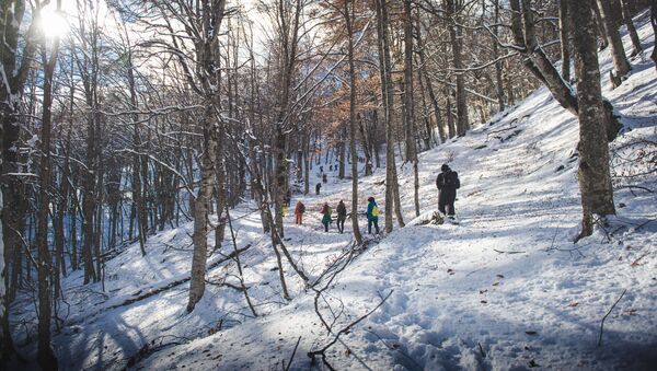 Зимняя красота в горах Пшави – фотопутешествие по одному из уголков Грузии - Sputnik Грузия