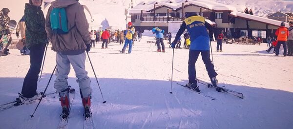 გუდაური - Sputnik საქართველო