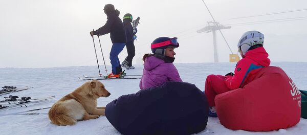 Отдыхающие на зимнем курорте Гудаури - Sputnik Грузия