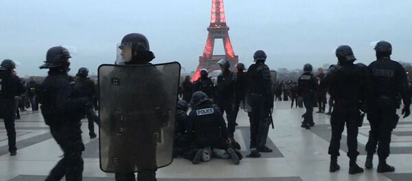 Желтые жилеты устроили новую акцию протеста в Париже - Sputnik Грузия