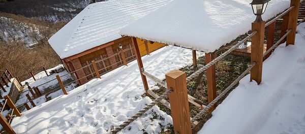 ცხვარიჭამია - Sputnik საქართველო