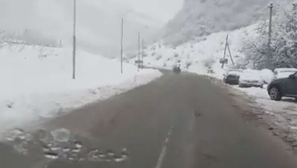 Снегопад и колонны грузовиков по пути в Гудаури - как выглядит Военно-грузинская дорога - Sputnik Грузия