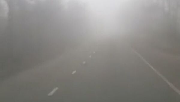 Сильный туман похож на обман - природное явление по пути в Сигнахи - Sputnik Грузия