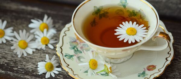 ჩაი და გვირილები - Sputnik საქართველო