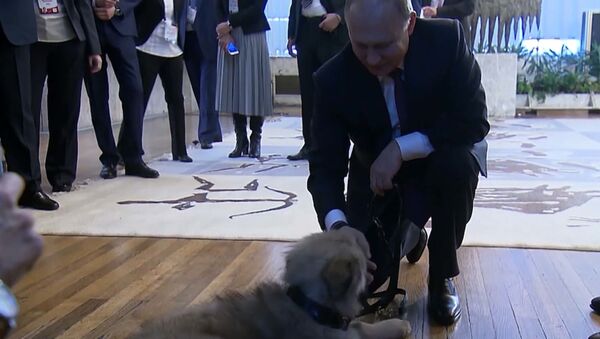 Путин получил в подарок щенка от президента Сербии - Sputnik Грузия