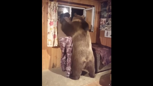 Не грусти, дружище: взрослый медведь обнимает своего хозяина – видео - Sputnik Грузия