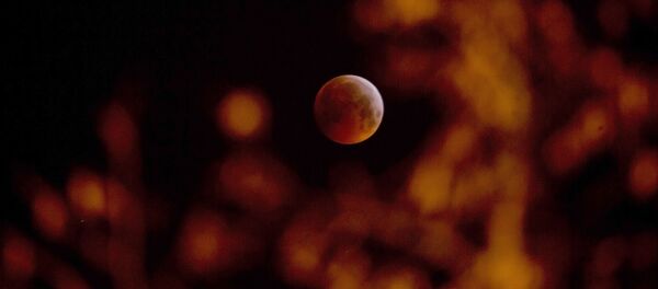 სავსემთვარეობა სავსემთვარეობა - Sputnik საქართველო