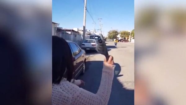 Не злите мам: женщина кинула тапок в дочь через всю улицу и попала – видео - Sputnik Грузия