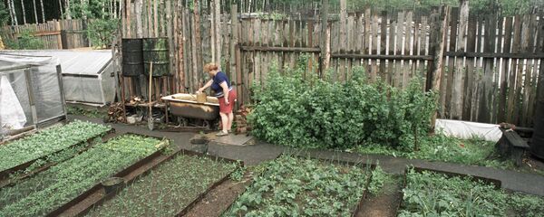 Огородный участок - Sputnik Грузия