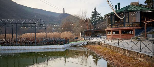 Черепашье озеро зимой - Sputnik Грузия