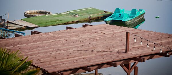 Черепашье озеро зимой. Лодки на воде - Sputnik Грузия