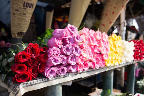 Какие цветы принято дарить на 8 марта 2019? Значение цветов - Sputnik Грузия