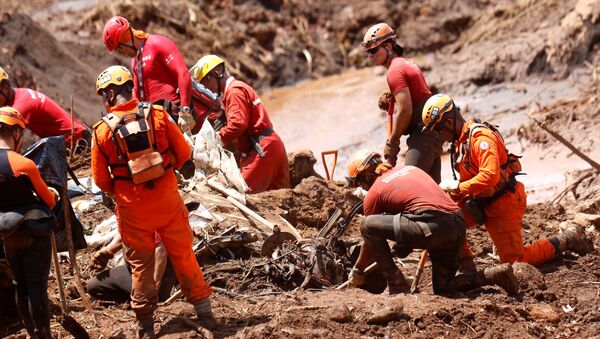 Члены команды спасателей ищут жертв после того, как 28 января 2019 года в Бразилии рухнула дамба, принадлежащая бразильской горнодобывающей компании Vale SA - Sputnik Грузия