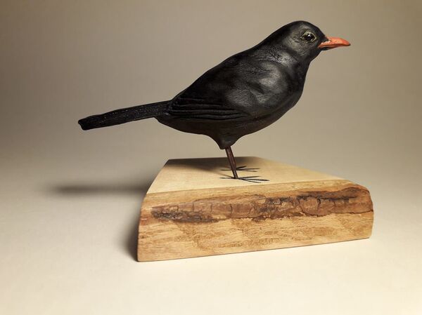 „ქათამურაში გაცოცხლებული საქართველოს ბუნება - Sputnik საქართველო