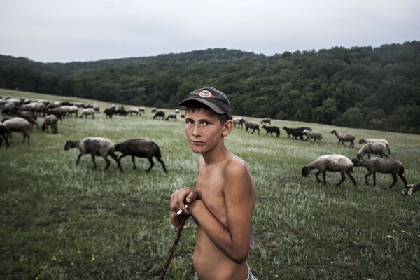 Снимок Young Shepherd молдавского фотографа Ilya Bugaev, вошедший в шорт-лист конкурса 2019 Sony World Photography Awards в категории Youth  - Sputnik Грузия