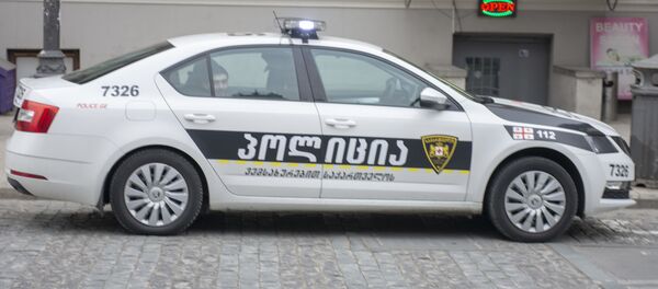 საპატრულო პოლიცია - Sputnik საქართველო