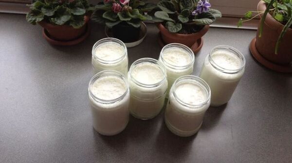 რატომ არ არის ქართული მაწონი ქართული, ანუ იძებნება მაწვნის დედა - Sputnik საქართველო